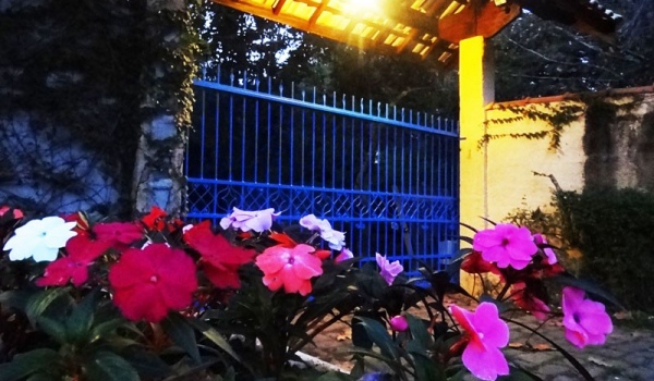 DSC09007