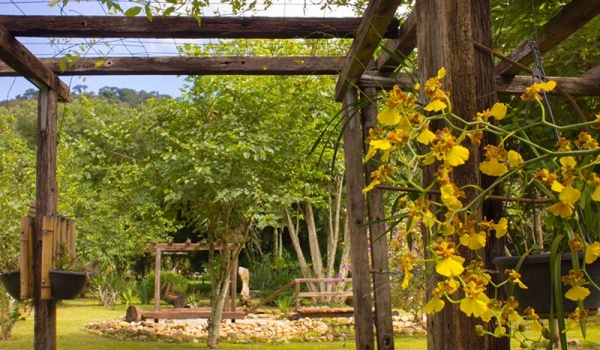 pergolado-cozinha-orquidea