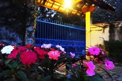 DSC09007