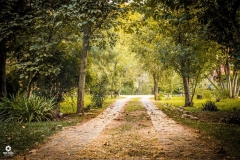 caminho