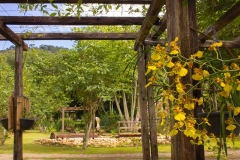 pergolado-cozinha-orquidea