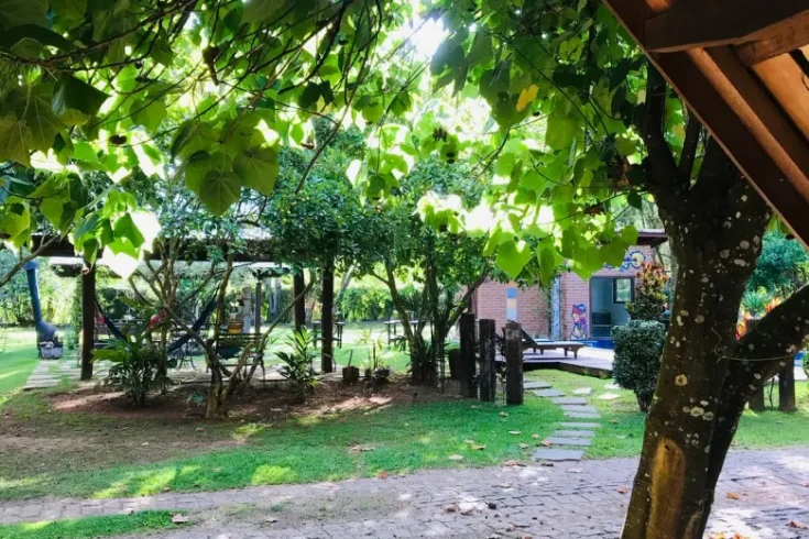 manaca_16